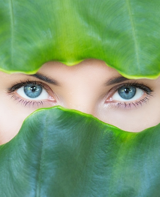 close up eyes a leaves